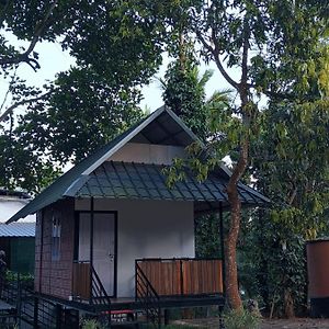 Single Room Park View